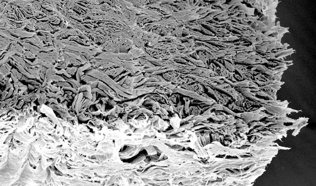mucoderm®